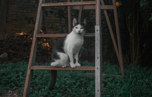 Comment obtenir un teint lumineux grâce à la détox ?